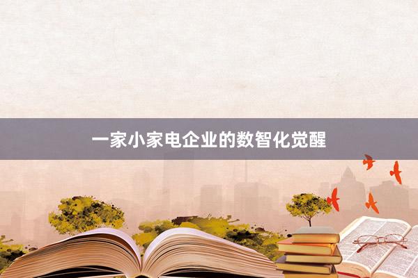 一家小家电企业的数智化觉醒