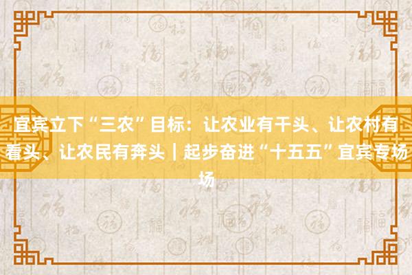 宜宾立下“三农”目标：让农业有干头、让农村有看头、让农民有奔头｜起步奋进“十五五”宜宾专场