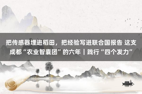 把传感器埋进稻田，把经验写进联合国报告 这支成都“农业智囊团”的六年｜践行“四个发力”