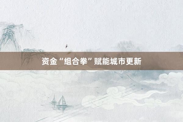 资金“组合拳”赋能城市更新