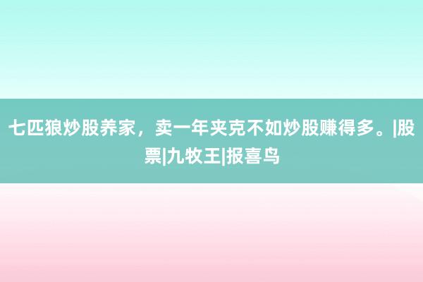 七匹狼炒股养家，卖一年夹克不如炒股赚得多。|股票|九牧王|报喜鸟