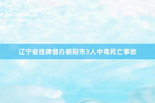辽宁省挂牌督办朝阳市3人中毒死亡事故