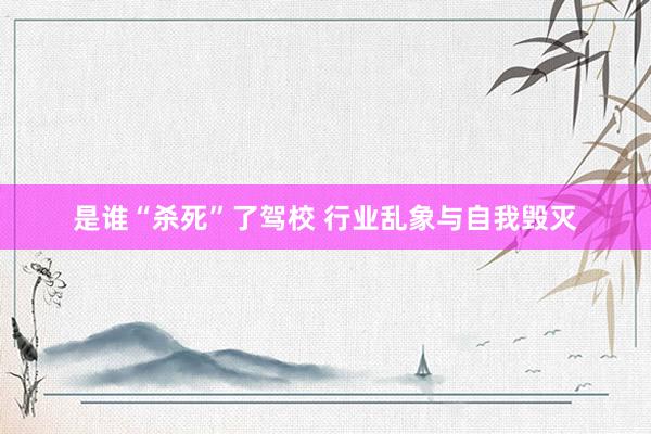 是谁“杀死”了驾校 行业乱象与自我毁灭