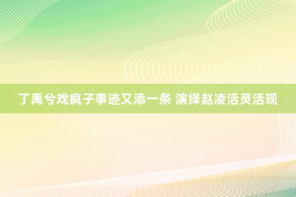 丁禹兮戏疯子事迹又添一条 演绎赵凌活灵活现