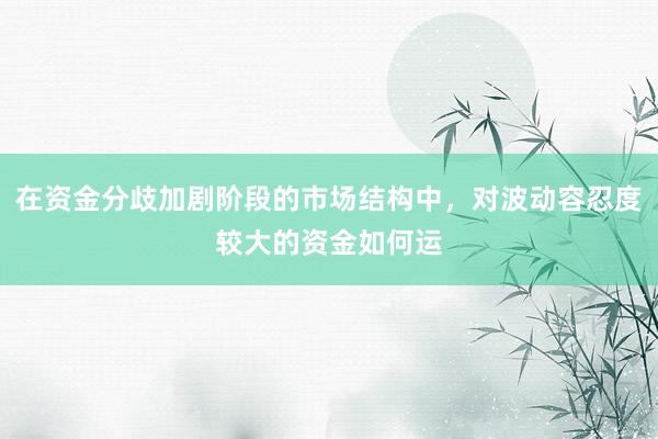 在资金分歧加剧阶段的市场结构中，对波动容忍度较大的资金如何运