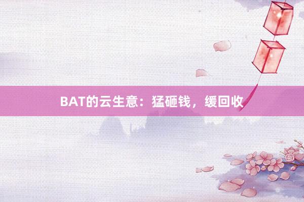 BAT的云生意：猛砸钱，缓回收