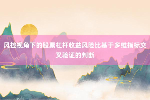 风控视角下的股票杠杆收益风险比基于多维指标交叉验证的判断