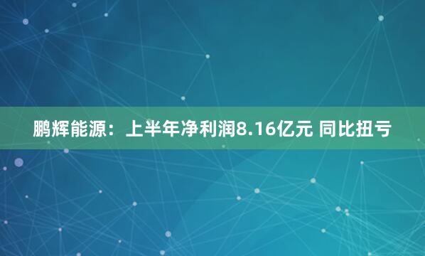 鹏辉能源：上半年净利润8.16亿元 同比扭亏